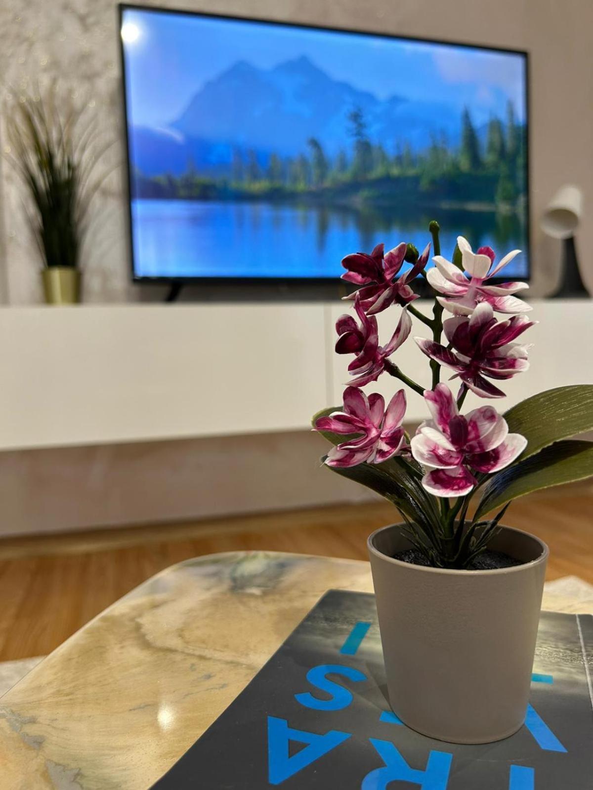 Luxury Studio Ploieşti Eksteriør bilde