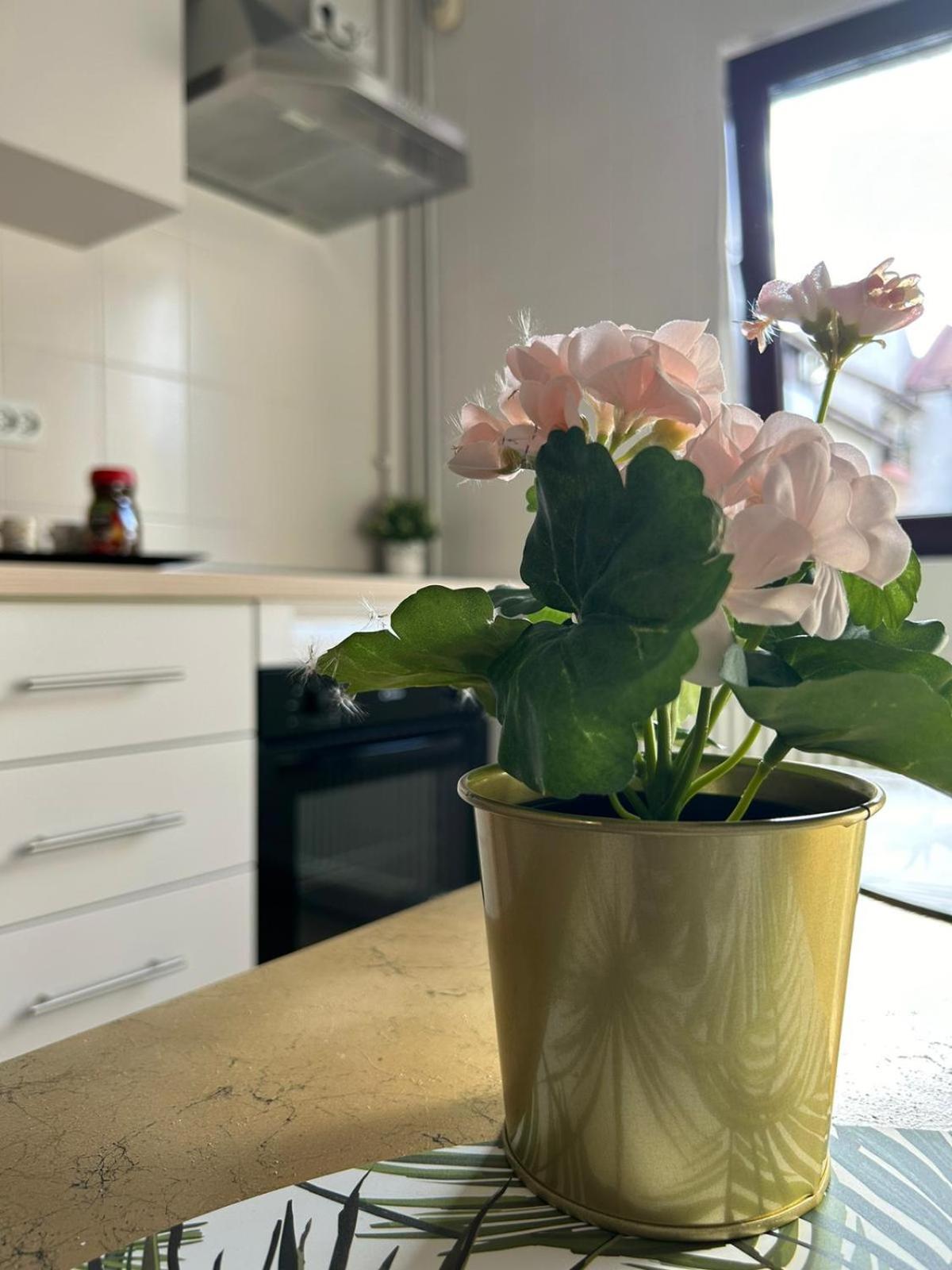 Luxury Studio Ploieşti Eksteriør bilde